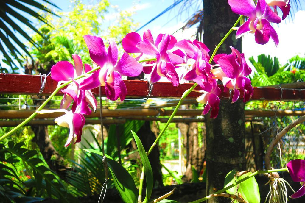 Kampot Guesthouse 외부 사진
